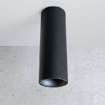 Trompet Surface